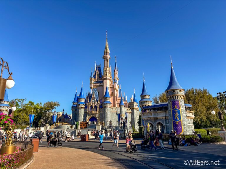 Sinto Muito pelas Pessoas que Cometeram Esses Erros na Disney World