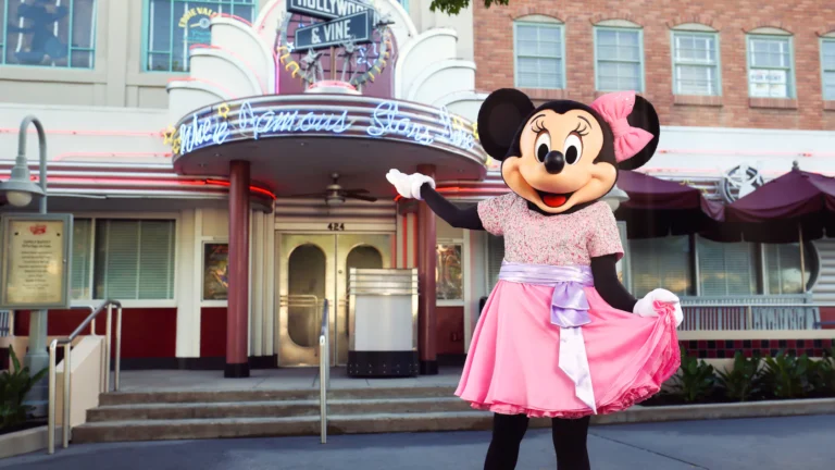 hollywood & vine minnie