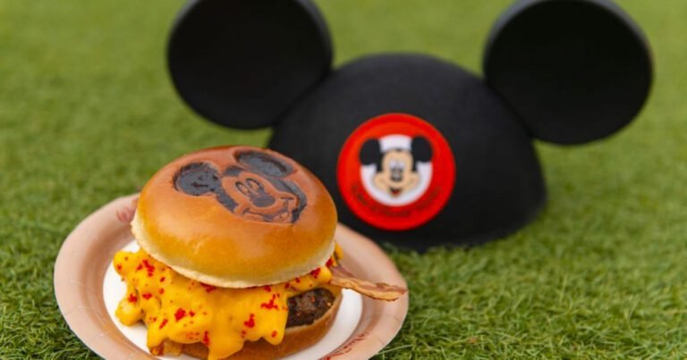 Lanches para os parques da Disney: o que é permitido levar? - 2025