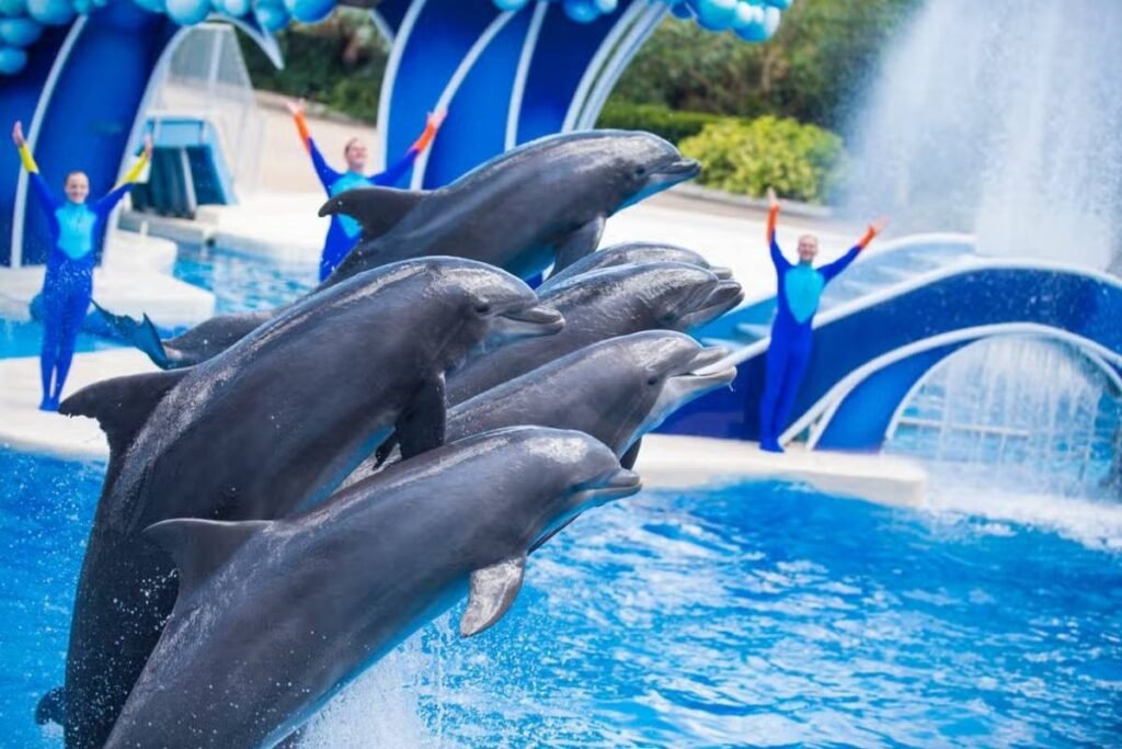Dicas para o dia no SeaWorld