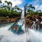 seaworld ingressos